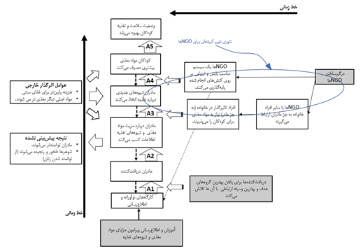 تئوری تغییر پیچیده - تئوری تغییر آشیانه ای یا تودرتو